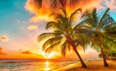 旅游綠皮書 2019~2020年中國國內旅游業務發展分析與預測